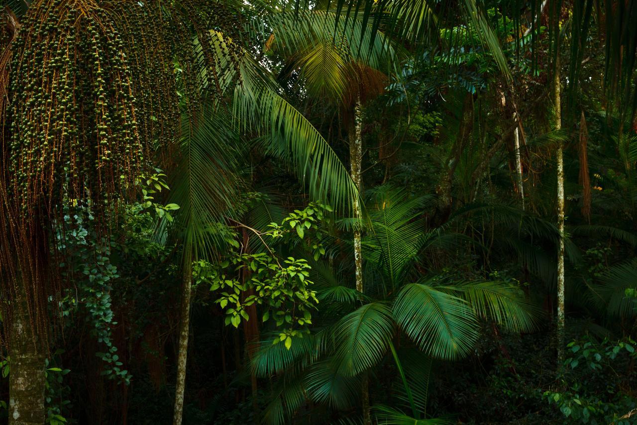 Yacutinga Lodge Puerto Iguazu Exterior photo